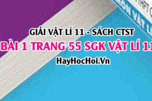 Giải bài 1 trang 55 Vật lý 11 SGK Chân trời sáng tạo